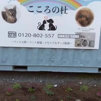画像297