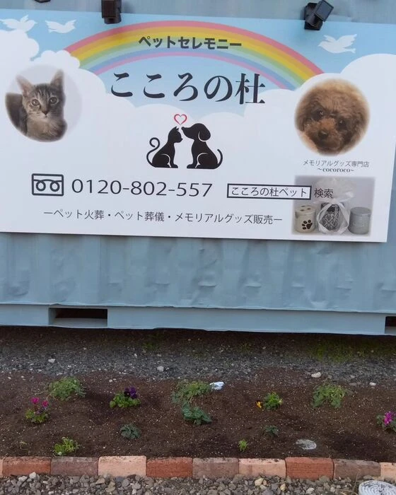 画像297