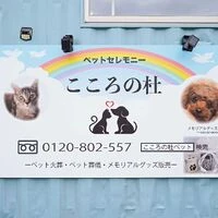 画像311