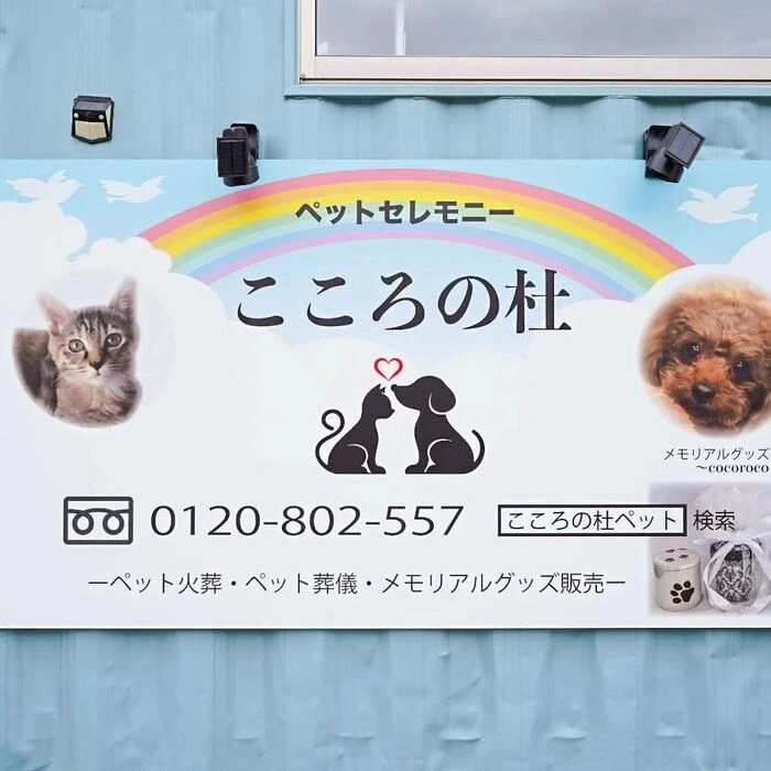 画像311