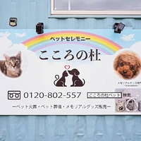 画像339