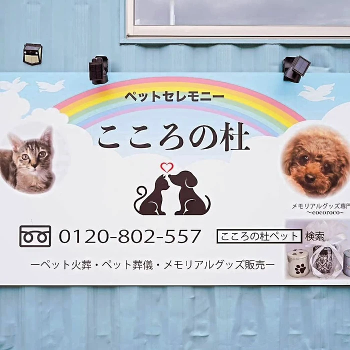 画像339