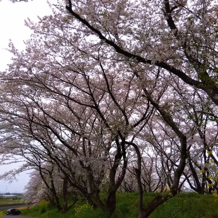画像359