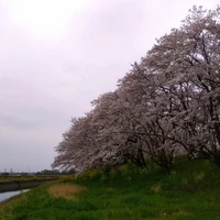 画像360