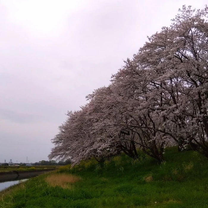 画像360