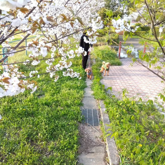 画像362