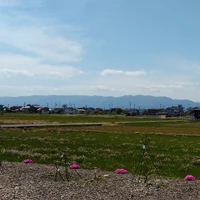 画像366