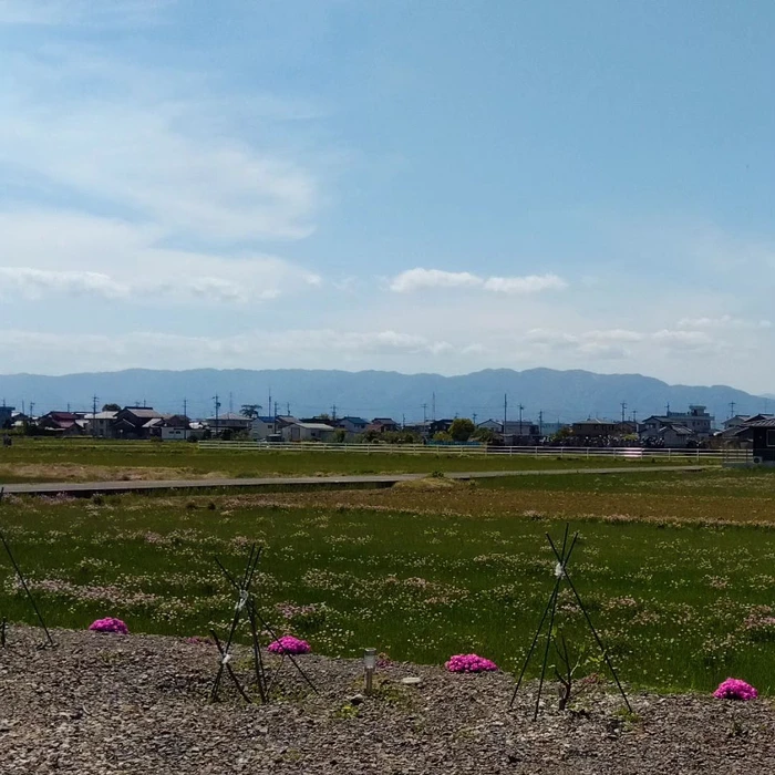 画像366
