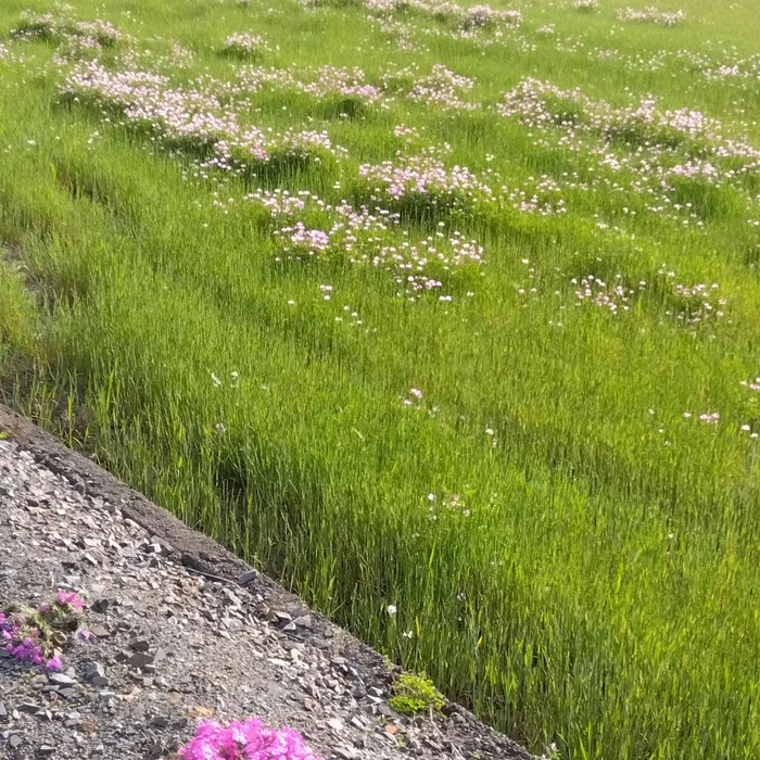 画像367