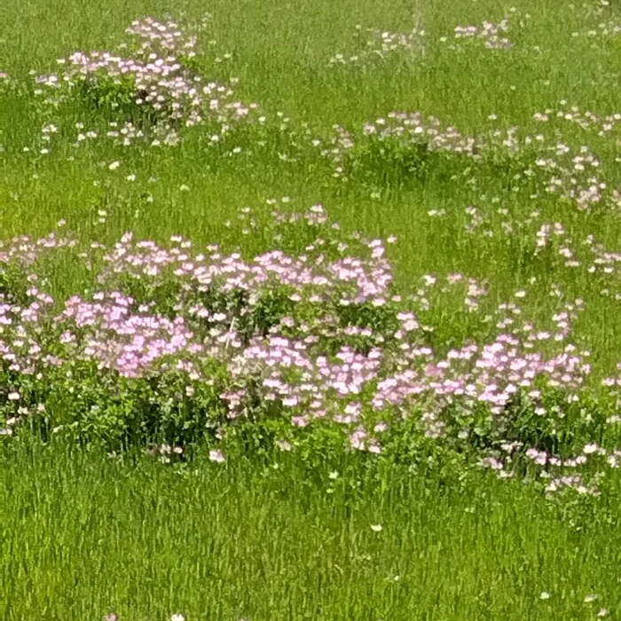 画像368