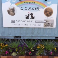 画像381