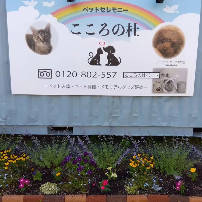 画像381
