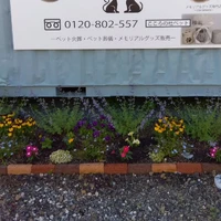 画像382
