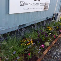 画像383