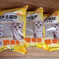 画像386