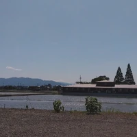 画像433