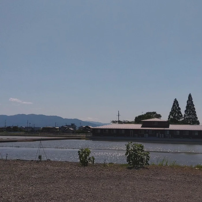 画像433