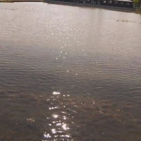 画像434