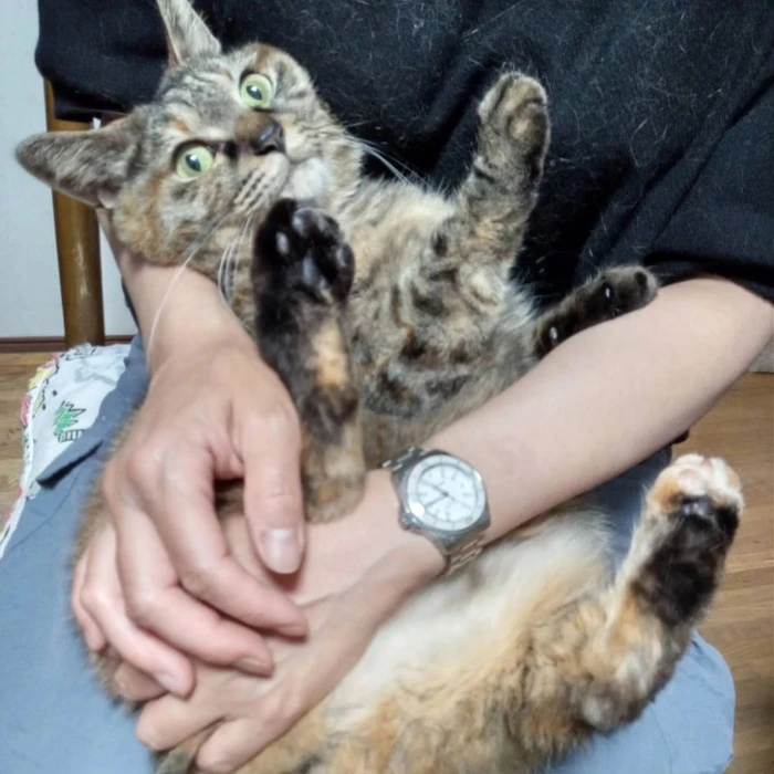 画像444