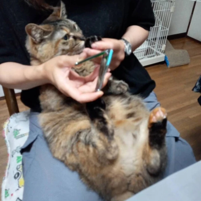 画像445
