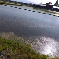 画像450