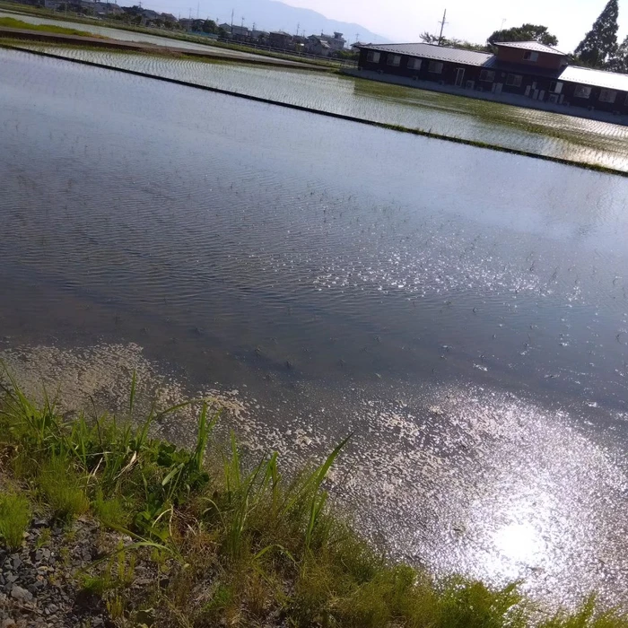 画像450