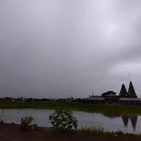 画像466