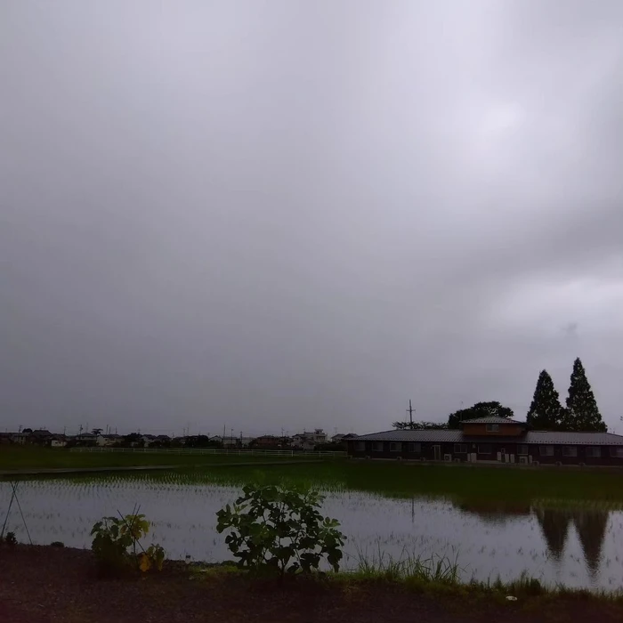 画像466