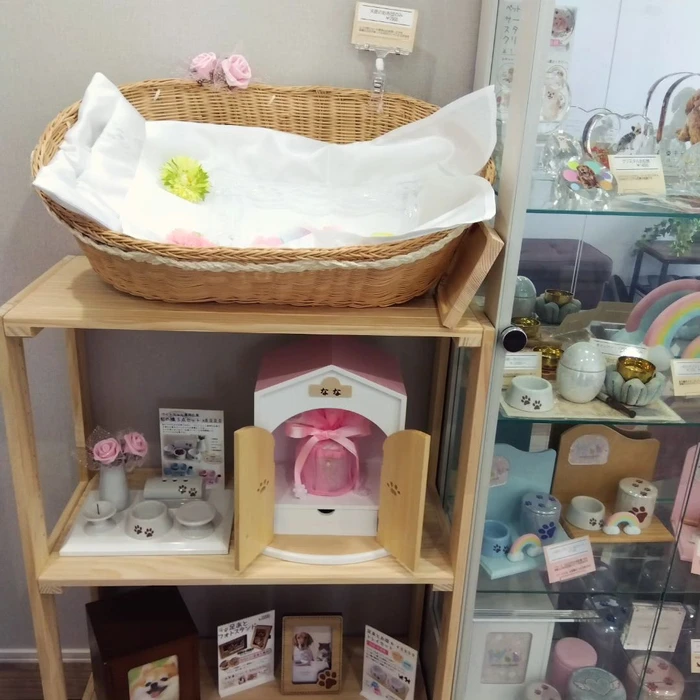 画像472