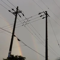 画像488