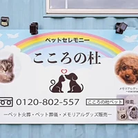 画像489