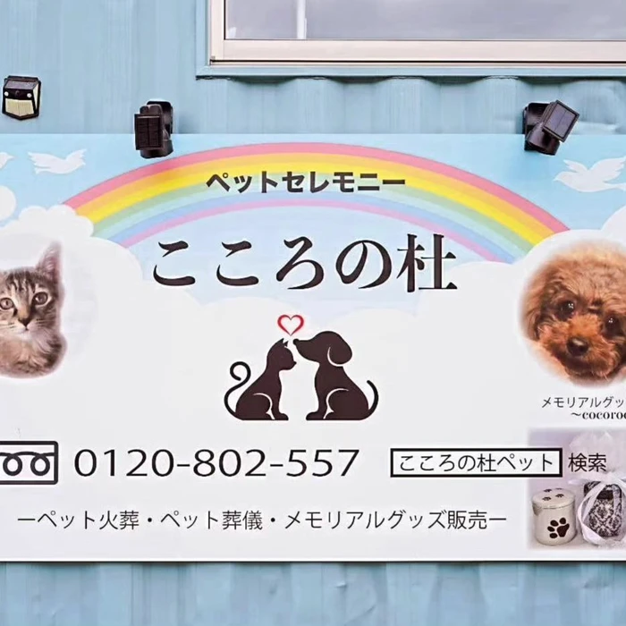 画像489