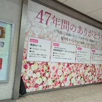 画像497