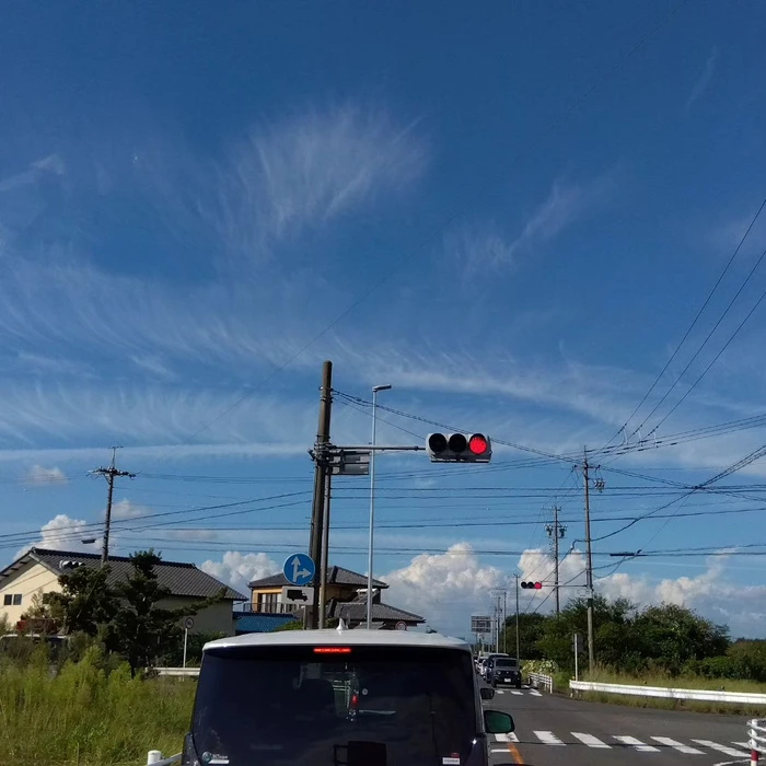 画像516