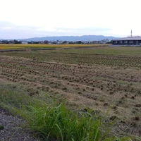 画像524