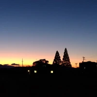 画像529