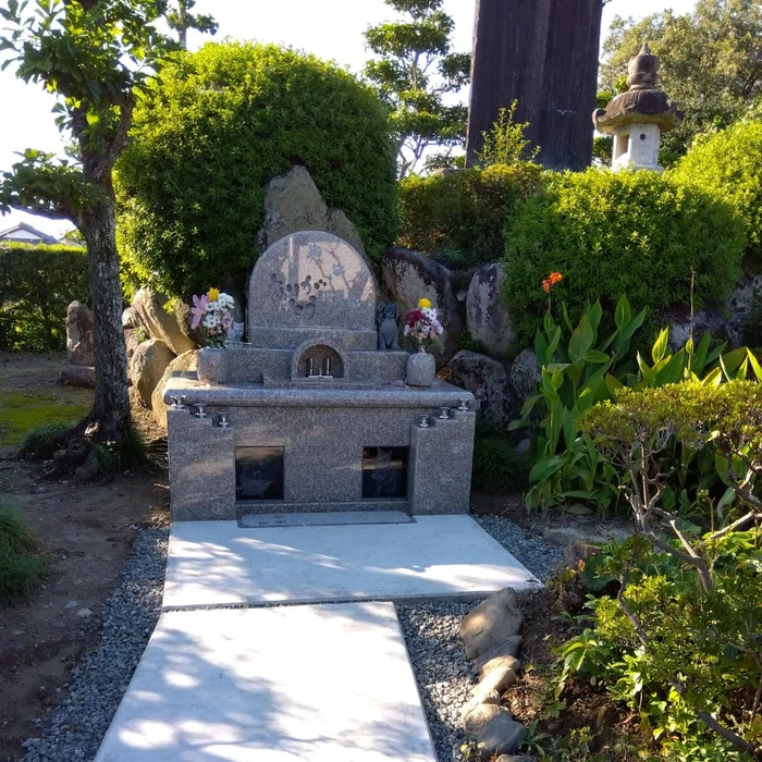 画像535