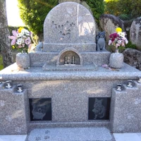 画像536