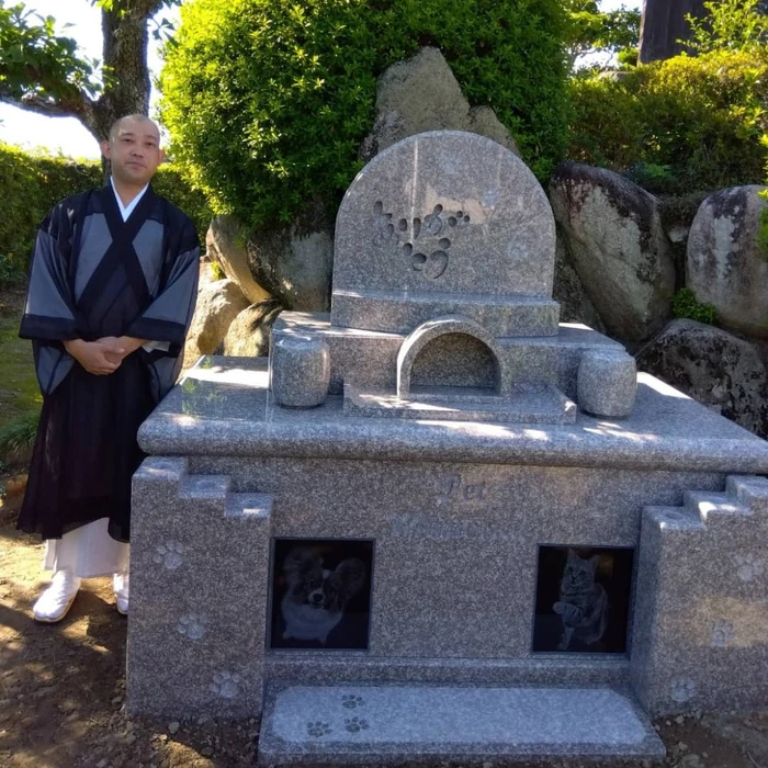 画像537