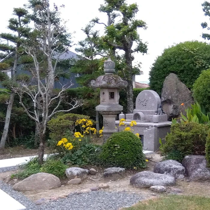 画像539