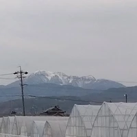 画像549