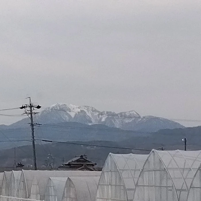 画像549