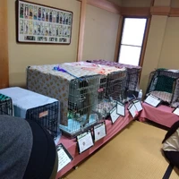 画像574
